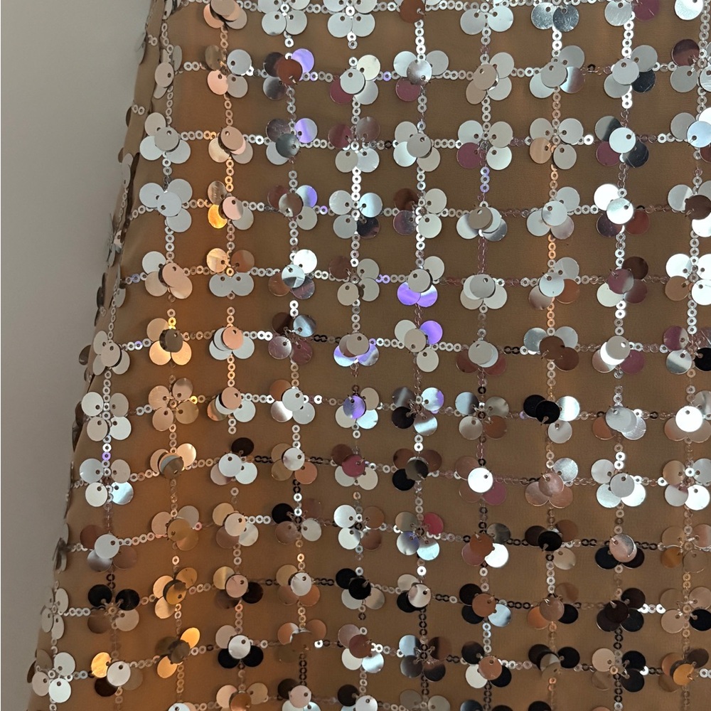 Zara sequin mini skirt - Picture 4 of 4
